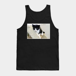 Whiskery Worries Tank Top